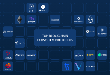 Top Blockchain Ecosystem Protocols