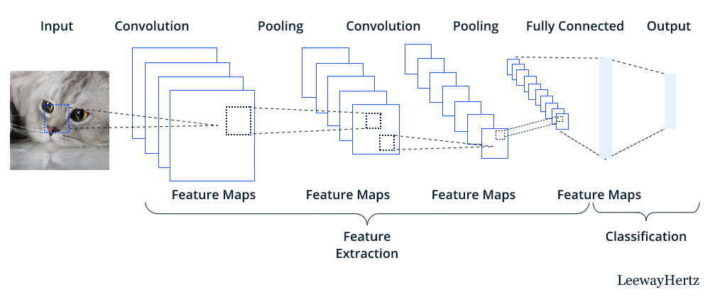 Convolutional Neural Networks (CNN)