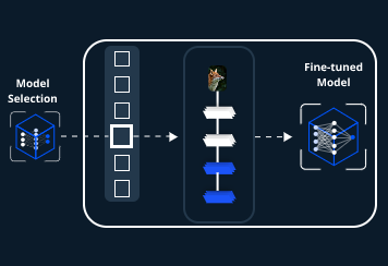 Fine-tuning pre-trained models for Generative AI applications