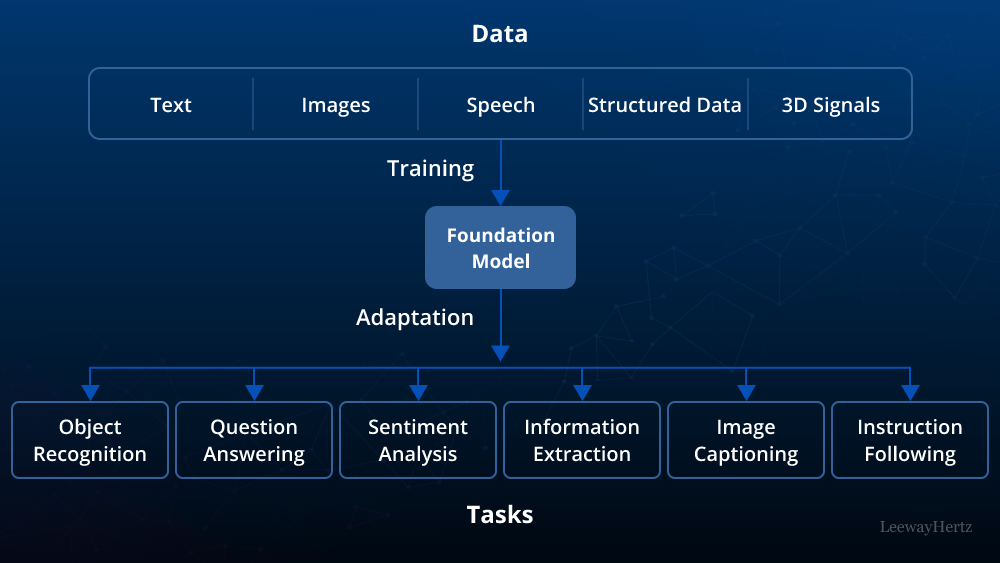 Foundation models 