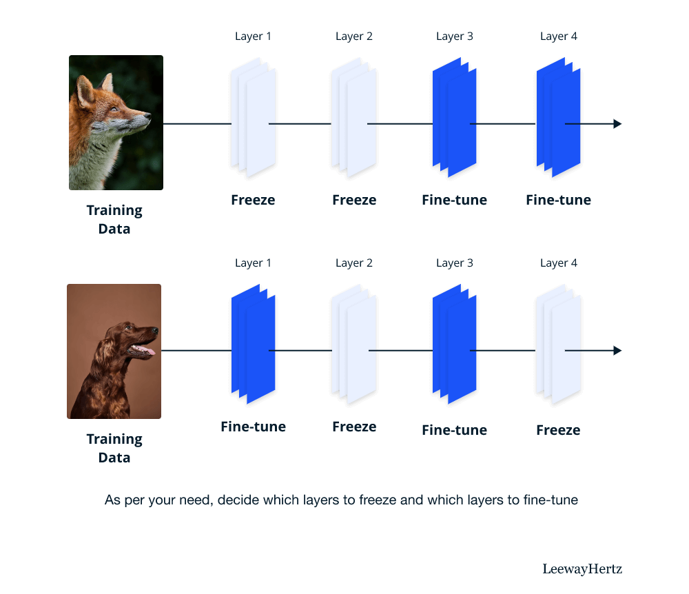 How does fine-tuning pre-trained models work